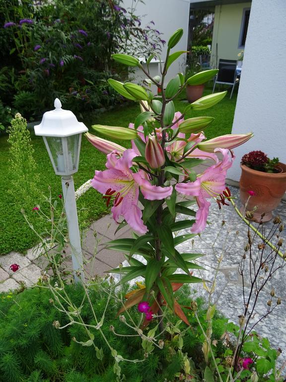 Ferienwohnung Traudl Singer Innsbruck Luaran gambar